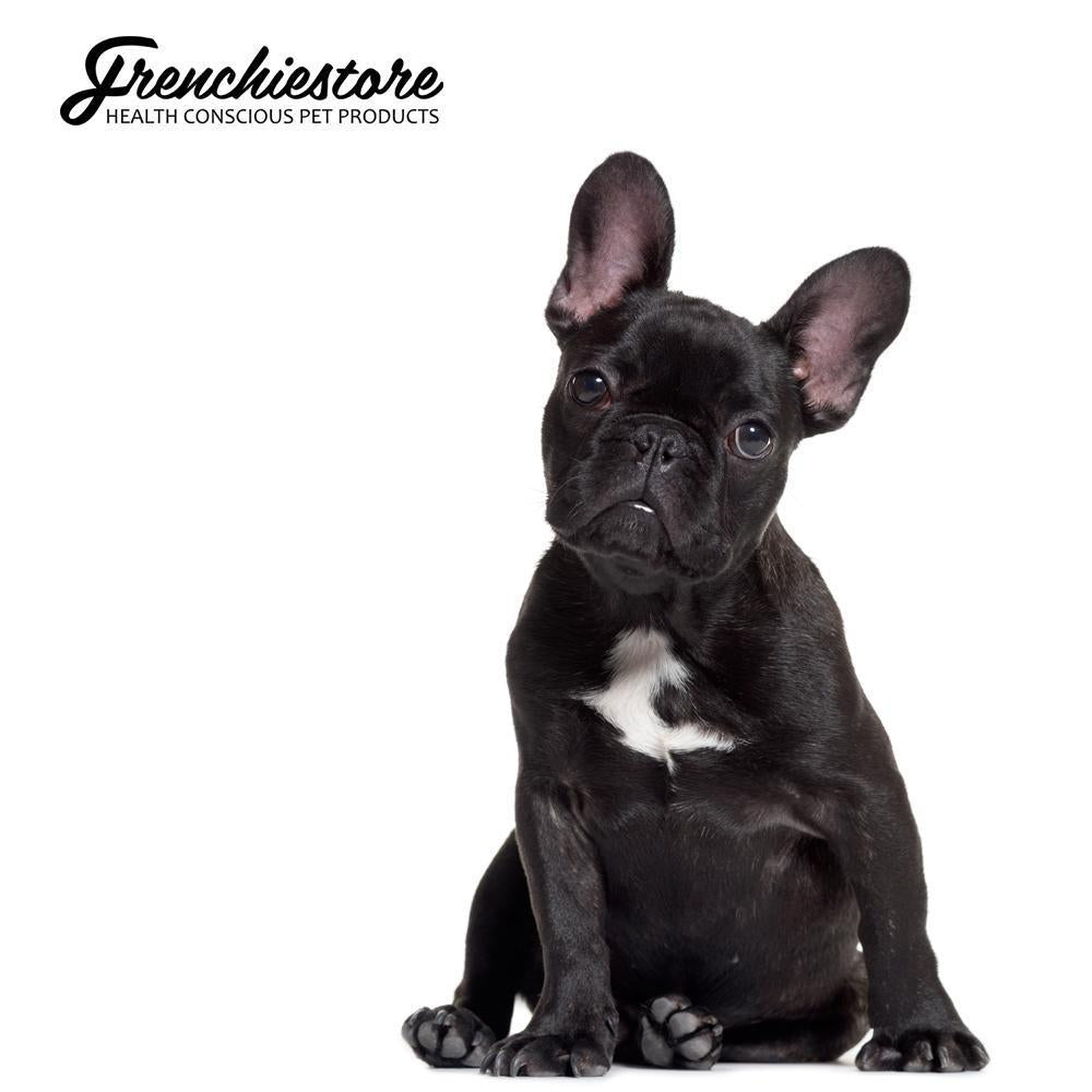 How Do I Know If My French Bulldog Has Fleas?