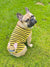 Frenchie Shirt | Frenchiestore | Fawn French Bulldog in Bumblebee, Frenchie Dog, French Bulldog pet products