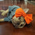 Frenchiestore Pet Head Bow | Orange, Frenchie Dog, French Bulldog pet products