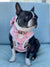 Frenchiestore dog Bowtie | Golf, Frenchie Dog, French Bulldog pet products