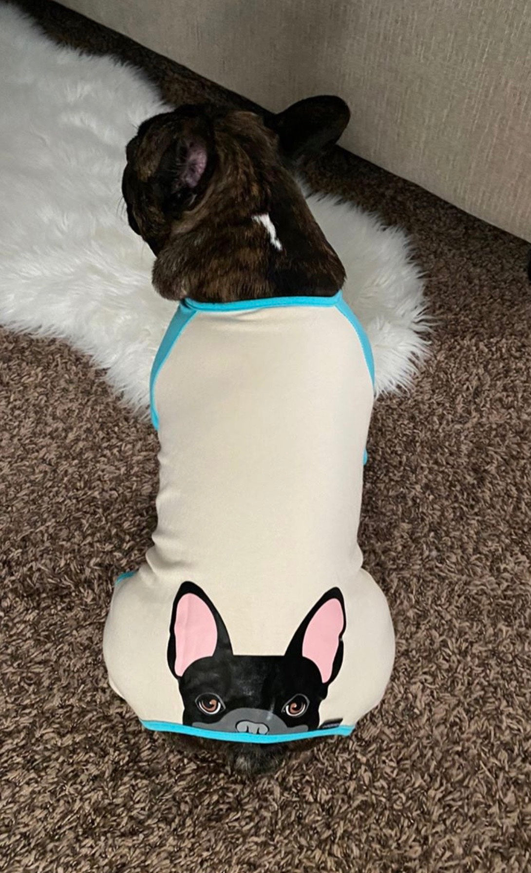 French Bulldog Pajamas in Aqua | Frenchie Clothing | Black Frenchie Dog, Frenchie Dog, French Bulldog pet products