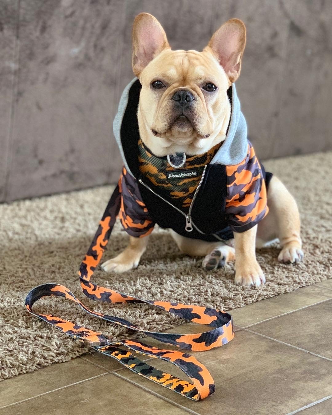 Luxury Leash | Mustard Ultimate Camo, Frenchie Dog, French Bulldog pet products