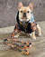 Luxury Leash | Mustard Ultimate Camo, Frenchie Dog, French Bulldog pet products