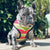 Frenchiestore Reversible Dog Health Harness | Apple, Frenchie Dog, French Bulldog pet products