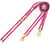 Frenchiestore Dual Dog Leash | Beet Varsity, Frenchie Dog, French Bulldog pet products