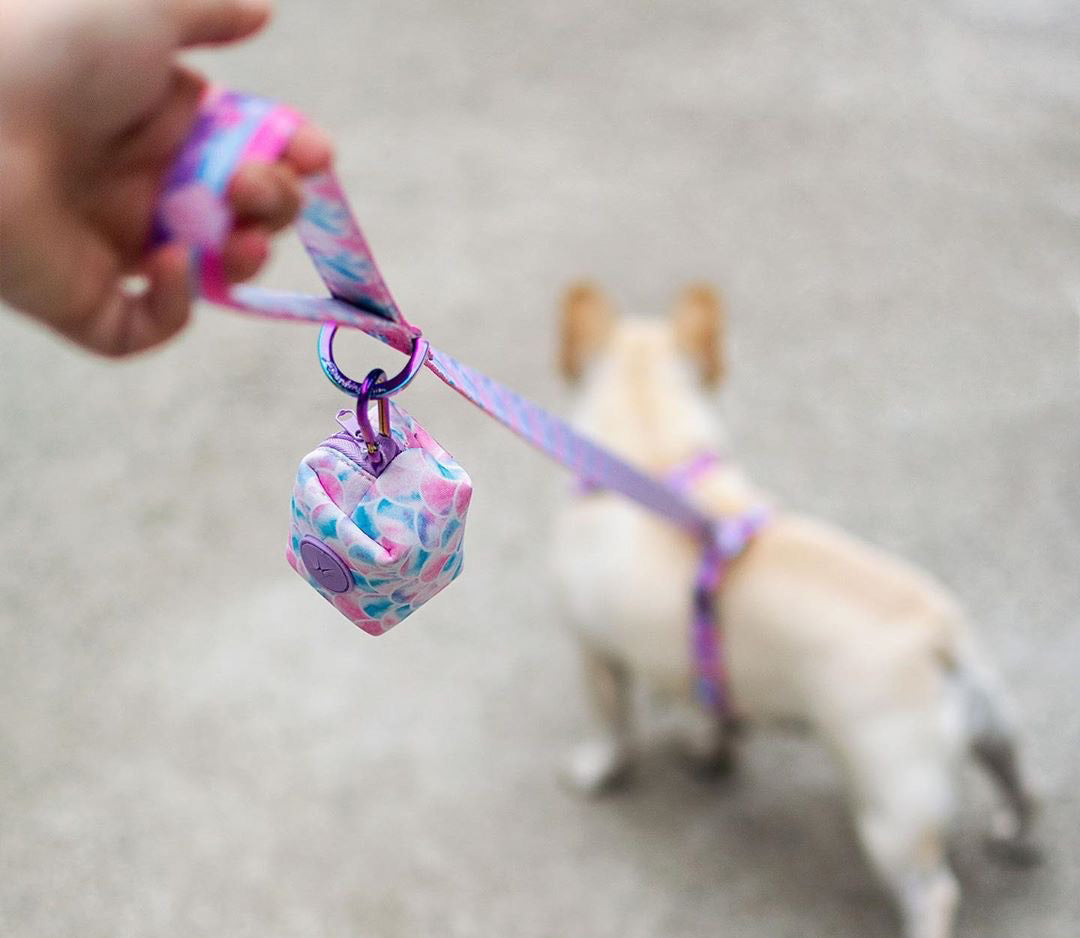 Frenchiestore Luxury Dog Leash | Mermazing, Frenchie Dog, French Bulldog pet products