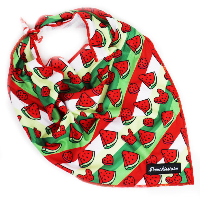 Frenchiestore Dog Cooling Bandana | Watermelon, Frenchie Dog, French Bulldog pet products