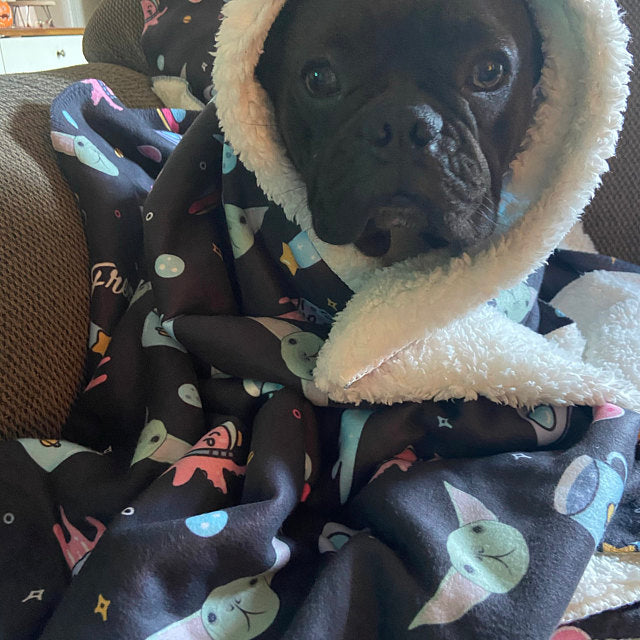 Frenchie Blanket | Frenchiestore | The Child on Black, Frenchie Dog, French Bulldog pet products