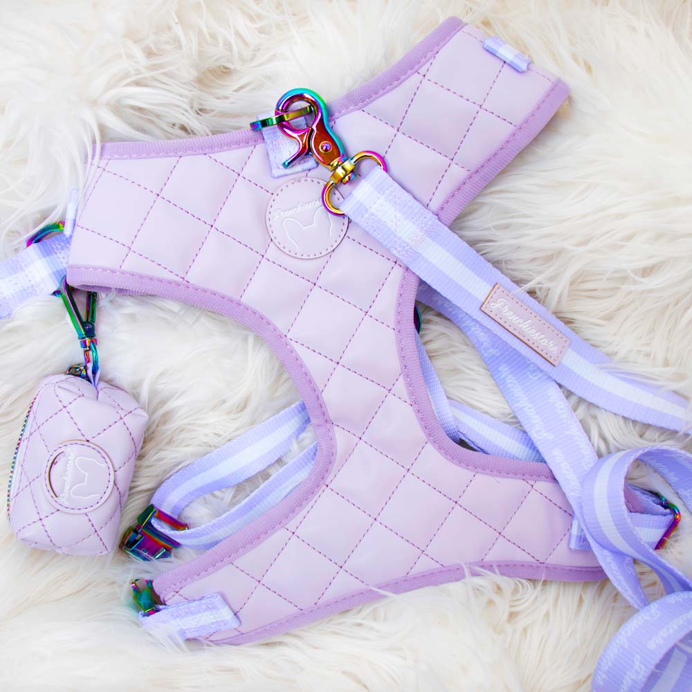 Frenchiestore Dual Dog Leash | Lavender/ Lilac Varsity, Frenchie Dog, French Bulldog pet products