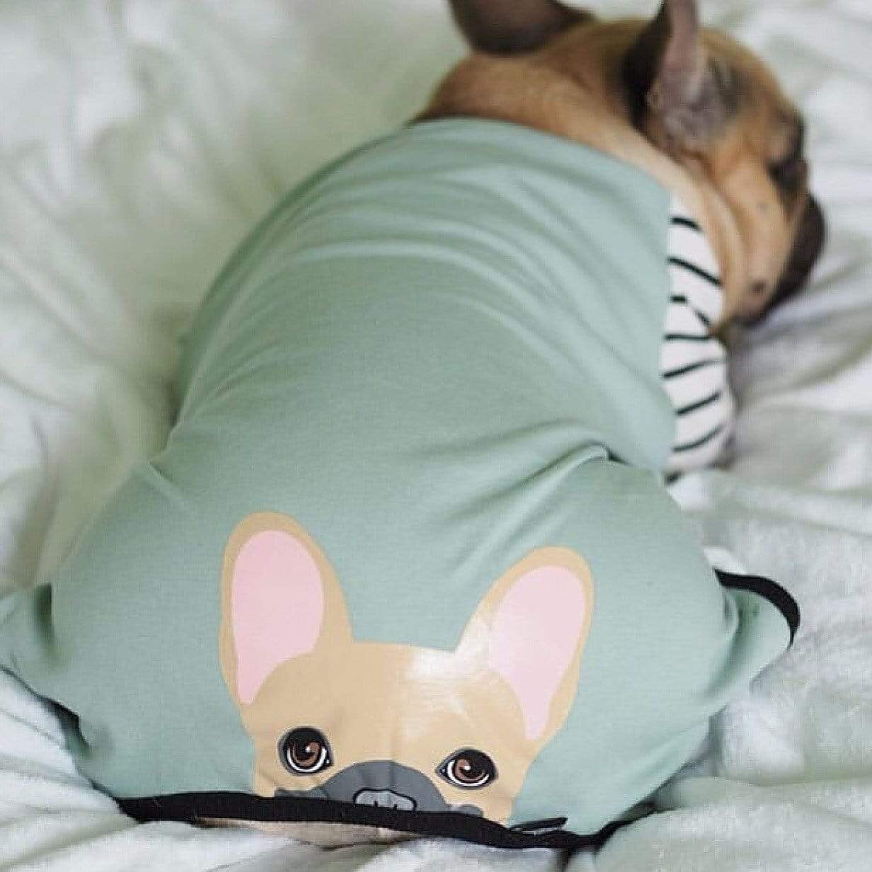 French Bulldog Pajamas | Frenchie Clothing | Fawn Frenchie dog, Frenchie Dog, French Bulldog pet products