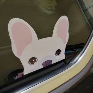 Frenchie Sticker | Frenchiestore | Cream French Bulldog Car Decal, Frenchie Dog, French Bulldog pet products