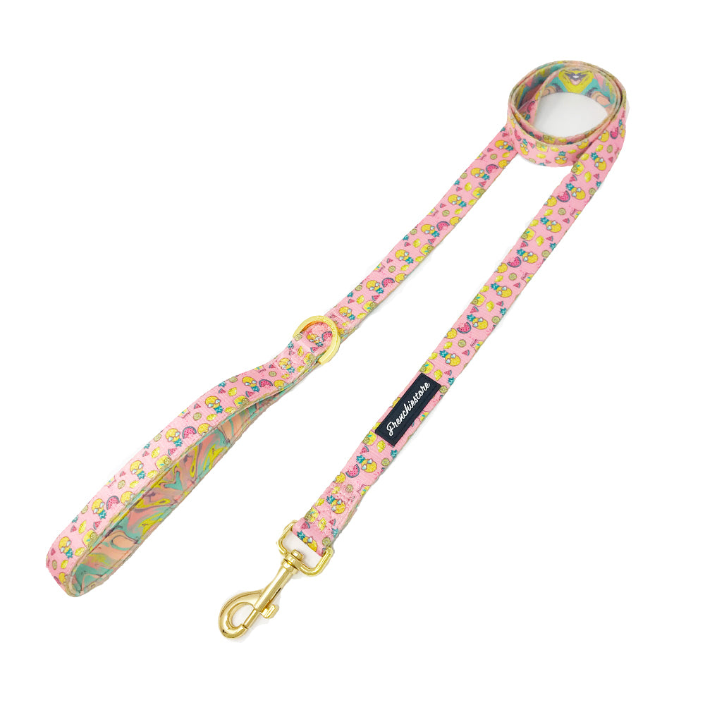 Frenchiestore Luxury Dog Leash | Pink Lemonade, Frenchie Dog, French Bulldog pet products